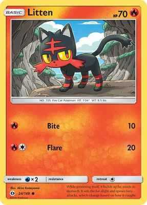 en_US-SM1-024-litten.jpg