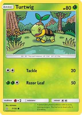 en_US-SM5-007-turtwig.jpg