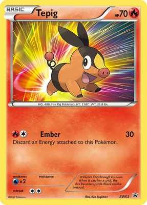 en_US-Promo_BW-BW02-tepig.jpg